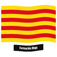 Comunidad Valenciana Flag Sticker by Formación Ninja