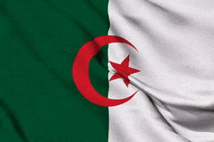 Algeria Flag GIF