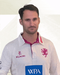 Captain Thought GIF by Somerset County Cricket Club