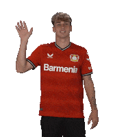 See You Goodbye Sticker by Bayer 04 Leverkusen