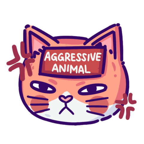 qiqiyaww angry orange cat aggresive kocheng Sticker