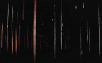 dario argento GIF by Maudit
