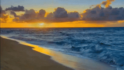 meer GIF