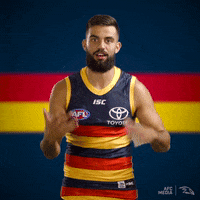 Afl Afc Media GIF by Adelaide Crows