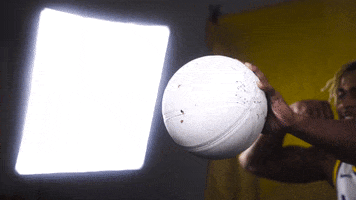 College Sports Sport GIF by LSU Tigers