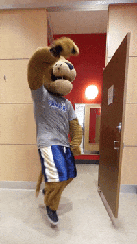 Happy Florida International University GIF by FIU
