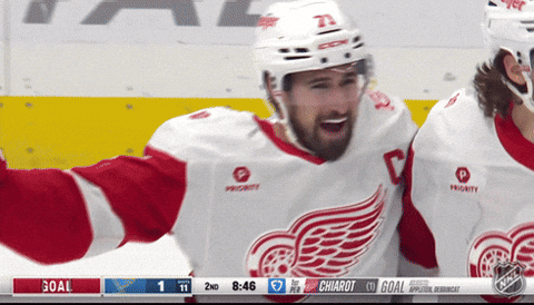 Happy Red Wings GIF by NHL
