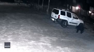Bear Climbs Into Unlocked SUV Outside Colorado Home