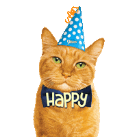 Celebrate Happy Birthday Sticker by Morris the 9Lives Cat