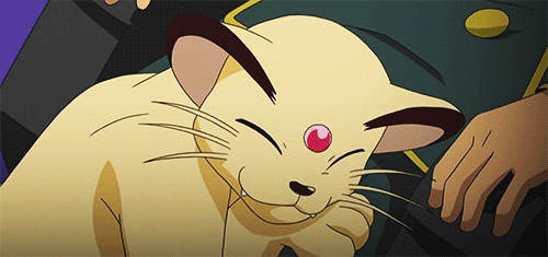 meowth GIF
