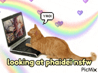 Phaidei GIF