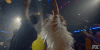 twirl GIF by Pose FX