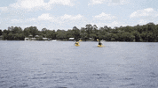 GIF by Florida State University