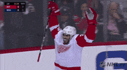 happy ice hockey GIF by NHL