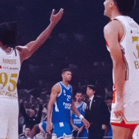Crvena Zvezda GIF