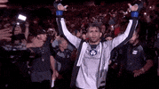 Sport GIF by UFC