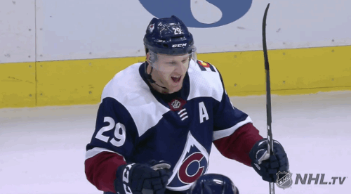 ice hockey hug GIF by NHL