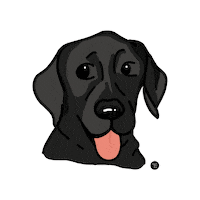 Dog Pet Sticker