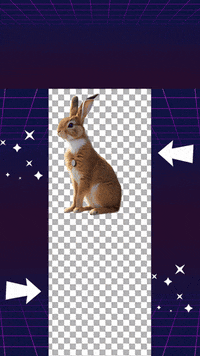 Rabbit Neural Networks GIF