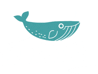 2MinuteFoundation beach 2minutefoundation 2minutebeachclean 2minutelitterpick GIF