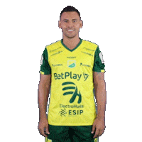 Futbol Colombia Sticker by INDEPENDIENTE DEL VALLE