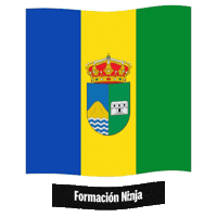 Castilla Y Leon Flag Sticker by Formación Ninja