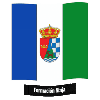 Castilla Y Leon Flag Sticker by Formación Ninja