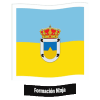 Castilla Y Leon Flag Sticker by Formación Ninja