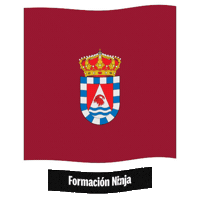 Castilla Y Leon Flag Sticker by Formación Ninja