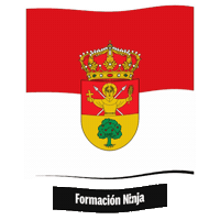 Castilla Y Leon Flag Sticker by Formación Ninja