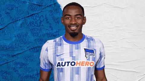 Goal Bundesliga GIF by Hertha BSC