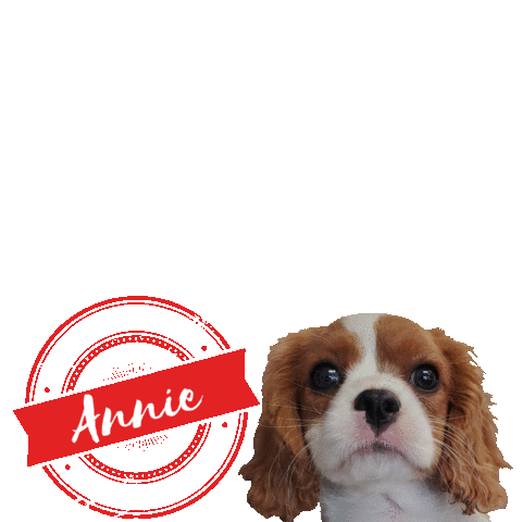 Tweedrva annie king charles tweed stamped Sticker