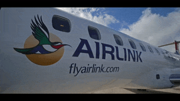 Airlink fly flying plane wing GIF