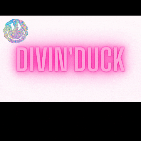GIF by DIVIN'DUCK