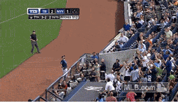 nyy GIF by MLB