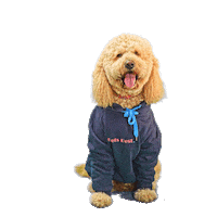 PetsBest dog puppy pet doodle Sticker
