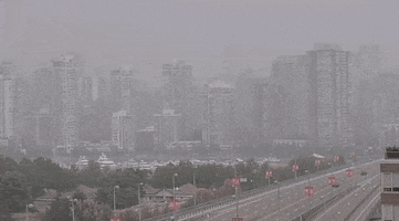 Wildfire Smoke GIF by GIPHY News