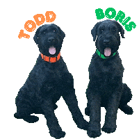 Boris Dog Sticker