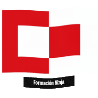 Castilla Y Leon Flag Sticker by Formación Ninja