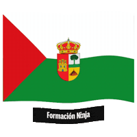 Castilla Y Leon Flag Sticker by Formación Ninja