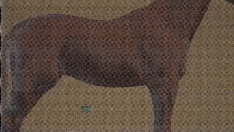 kacey musgraves lyric video GIF