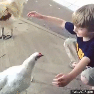 abrazo hacer amigos GIF