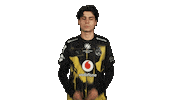Borussia Dortmund Football Sticker by Bundesliga