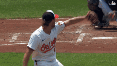 Home Run Baseball GIF by Toronto Blue Jays