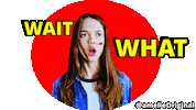 Wait What Omg Sticker by amelie