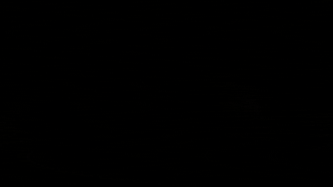 Love GIF by Les Grands Ballets Canadiens