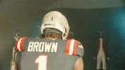 Football Nfl GIF by New England Patriots