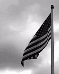 desireedynamite home flag usa united states GIF