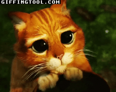giphyupload GIF