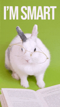 Bunny Rabbit Awww GIF by Sealed With A GIF